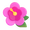 🌺