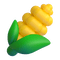 🌽