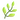 Herb