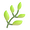 🌿