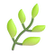 🌿