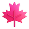 🍁