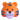 Cara de tigre