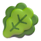 🥬