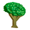 🌳