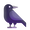 🐦‍⬛
