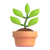 Plante en pot